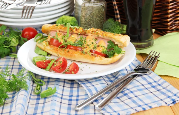 Delicioso perrito caliente en el plato en primer plano de picnic — Foto de Stock