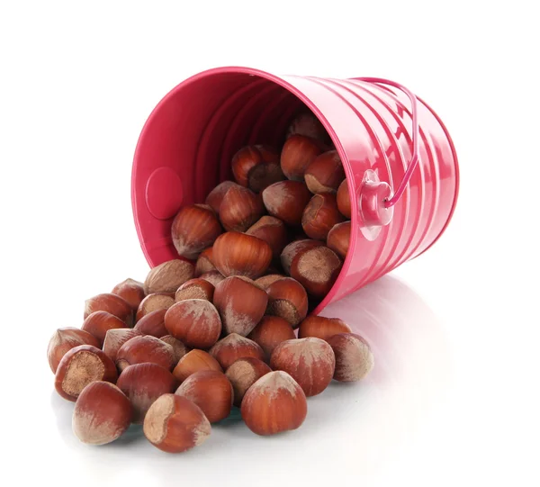 Overturned bucket with hazelnuts isolated on white — Stock Photo, Image