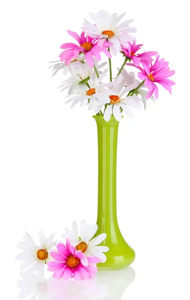 Beautiful daisies in colorful vase isolated on white — Stock Photo, Image