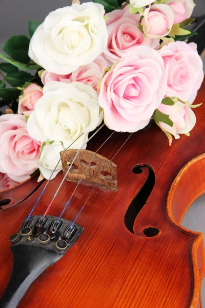 फूल के साथ शास्त्रीय वायलिन बंद — स्टॉक फ़ोटो, इमेज