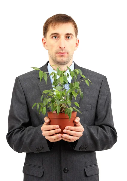 Jeune homme d'affaires avec plante isolée sur whit — Photo