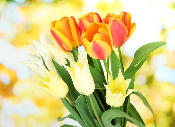 Mooi wit en oranje tulpen op lichte achtergrond — Stockfoto