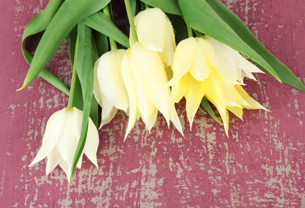 Beautiful white tulips on color wooden background — Stock Photo, Image