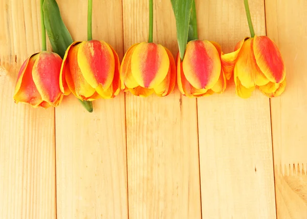 Hermosos tulipanes naranjas sobre fondo de madera —  Fotos de Stock