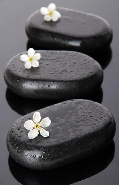 Piedras de spa y flores blancas sobre fondo oscuro —  Fotos de Stock