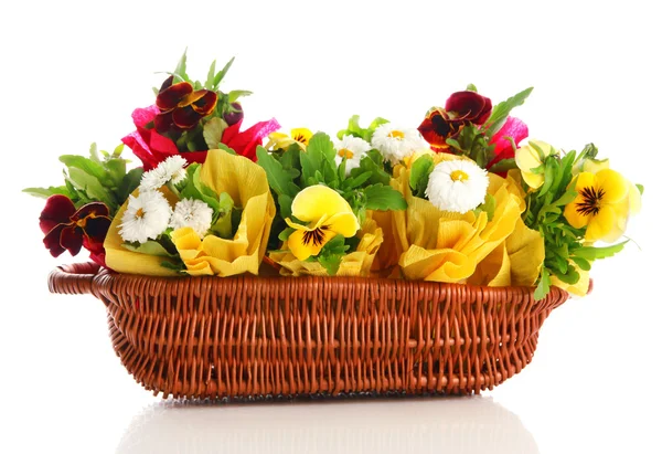 Krásný jarní květiny v košíku izolovaných na bílém — Stock fotografie