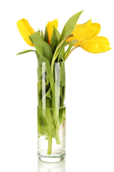 Yellow tulips in vase isolated on white — Stock Photo, Image