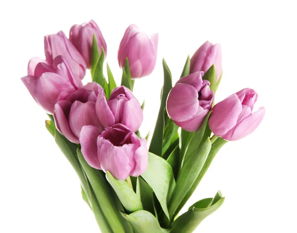 Beautiful bouquet of purple tulips, isolated on white — Stock Photo, Image