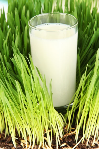 Ποτήρι γάλα στέκεται στο γρασίδι σε κοντινό πλάνο — Φωτογραφία Αρχείου