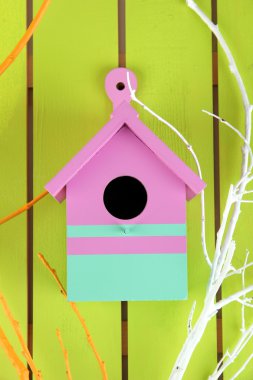 renk ahşap arka plan üzerinde renkli dalları ile dekoratif iç içe kutu