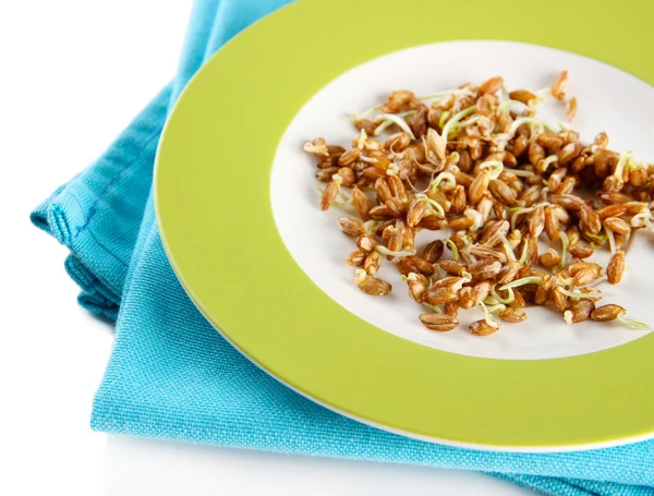 Wheat germs on plate isolated on white — Stock Photo, Image