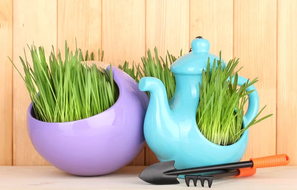 Grünes Gras im dekorativen Topf auf Holzgrund — Stockfoto