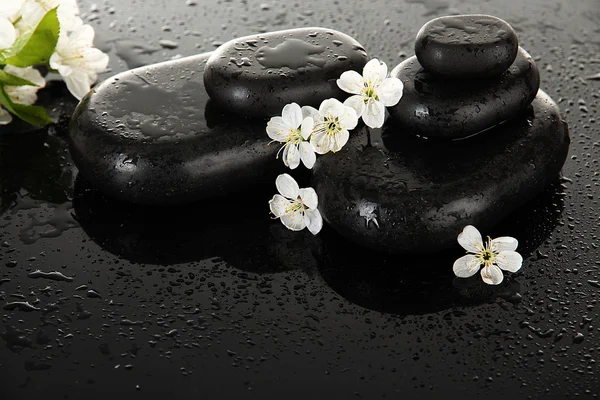 Spa taşlar ve koyu arka plan üzerinde beyaz çiçekler — Stok fotoğraf