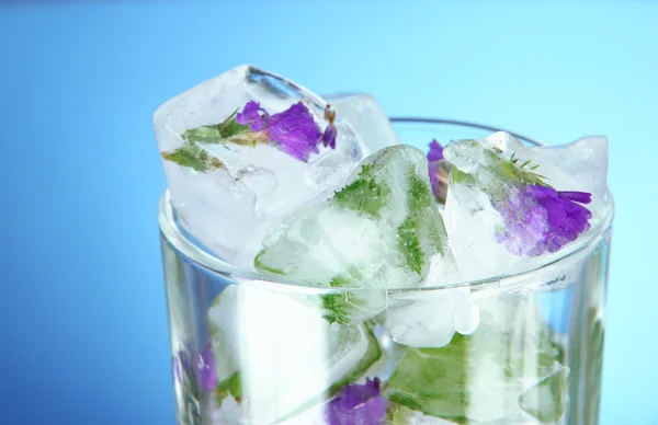 Isbitar med blommor och örter i glas, på blå bakgrund — Stockfoto