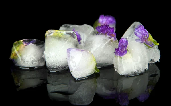 Cube de glace aux fleurs, isolé sur noir — Photo