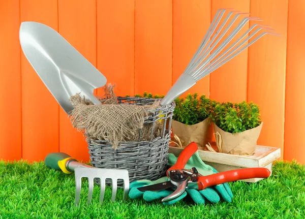 Garden tools on grass in yard — Stock Photo, Image