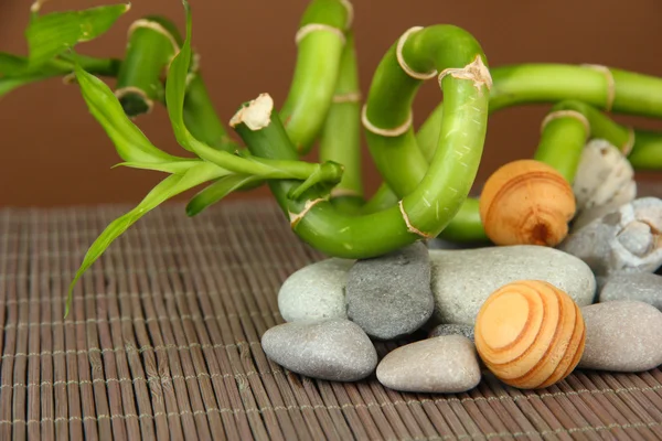 Stilleven met groene bamboe plant en stenen, op bamboe mat op kleur achtergrond — Stockfoto