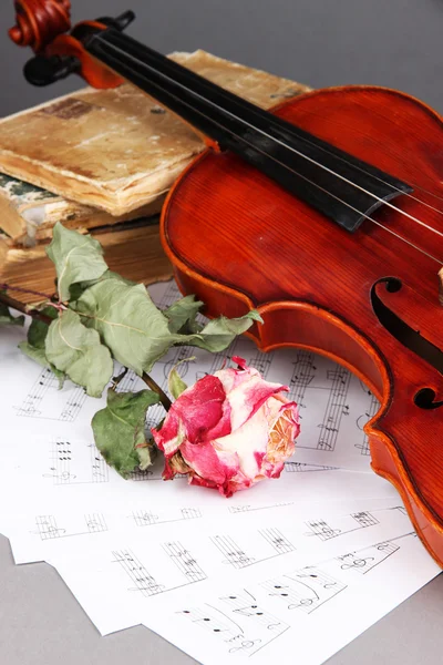Klassisk fiol på anteckningar — Stockfoto