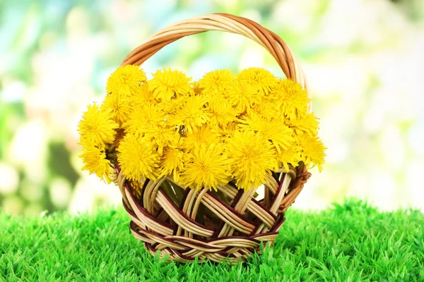 枝編み細工品バスケット明るい背景に草の上にタンポポの花 — ストック写真