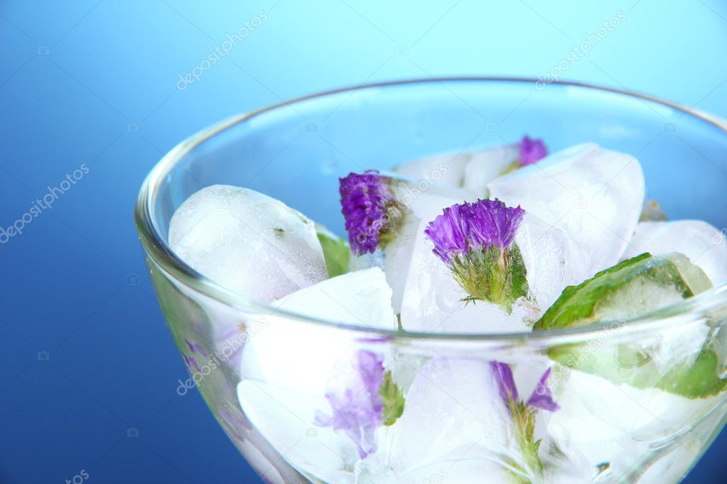 Ice cubes with flowers and herbs in bowl, on blue background