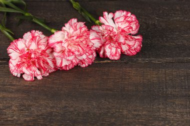 gri ahşap masa üstünde güzel karanfil