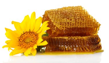 Bal ve ayçiçeği, üzerinde beyaz izole ile tatlı peteğin