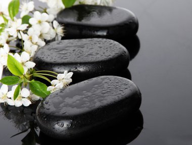 Spa taşlar ve koyu arka plan üzerinde beyaz çiçekler