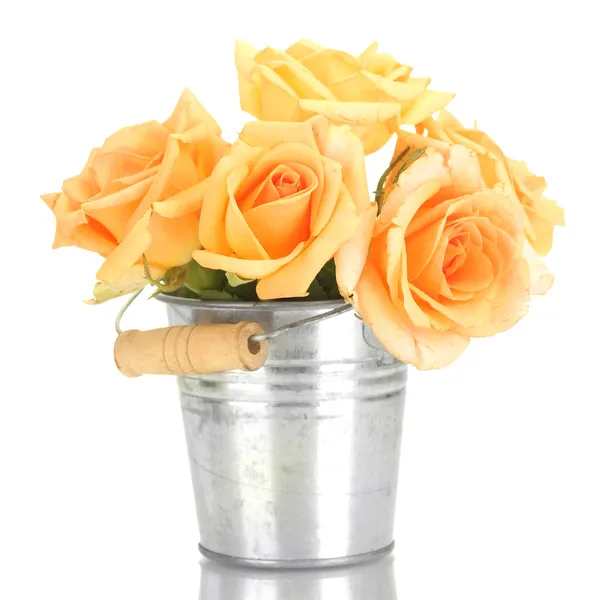 Beautiful bouquet of roses in bucket isolated on whit — Stock Photo, Image