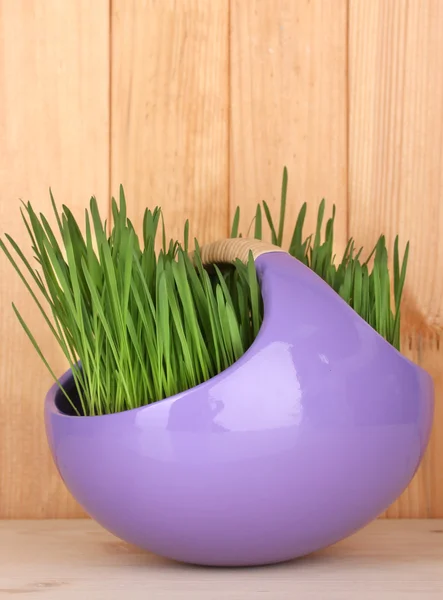 Grama verde em vaso decorativo no fundo de madeira — Fotografia de Stock