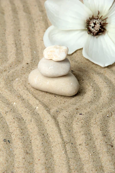 Zenhage med raket sand og rund stein i nærheten – stockfoto