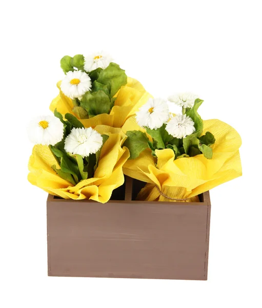 Lindas flores de primavera em caixa de madeira isolada em branco — Fotografia de Stock