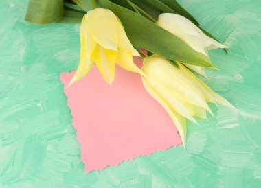 renkli ahşap zemin üzerinde güzel beyaz laleler