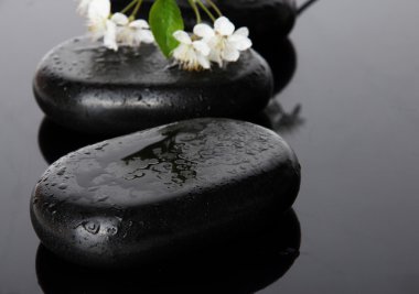 Spa taşlar ve koyu arka plan üzerinde beyaz çiçekler