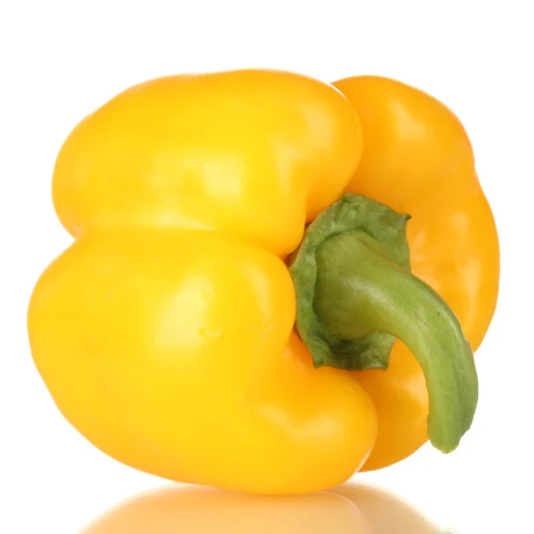 Friss sárga paprika, elszigetelt fehér — Stock Fotó