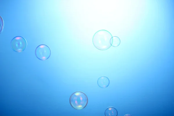 Soap bubbles on blue background — Stock Photo, Image