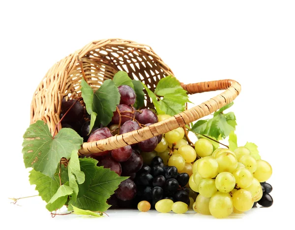 Assortment of ripe sweet grapes in basket, isolated on whit — Stock Photo, Image