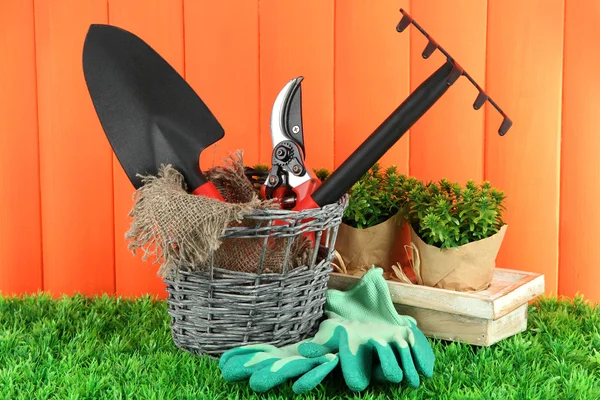 Tuingereedschap op gras in de tuin — Stockfoto