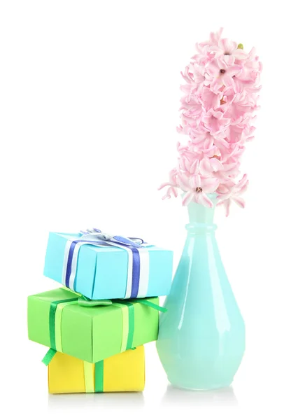 Krásný hyacinth na vázu a krásné dárky, izolované na bílém — Stock fotografie