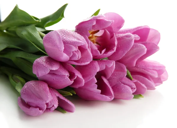 Beautiful bouquet of purple tulips, isolated on white — Stock Photo, Image