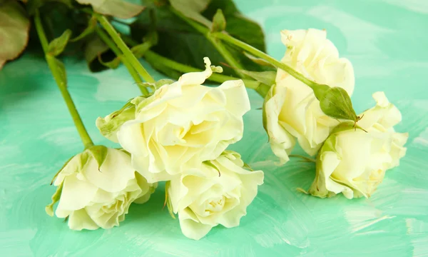 Hermosas rosas blancas de primer plano, sobre fondo de color —  Fotos de Stock