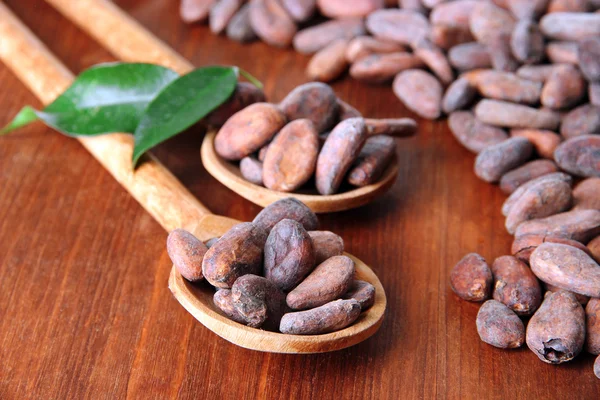 Cocoa beans with leaves in spoons on wooden background — Stock Photo, Image