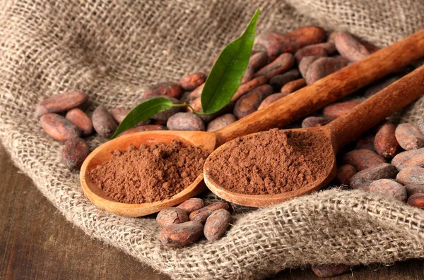 Poudre de cacao dans des cuillères et fèves de cacao sur fond en bois — Photo