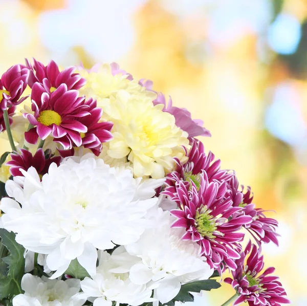 Bouquet de beaux chrysanthèmes sur fond lumineux — Photo