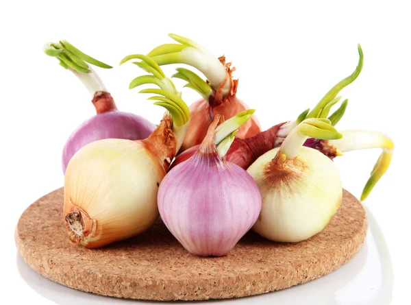 Sprouting onions on board isolated on white — Stock Photo, Image