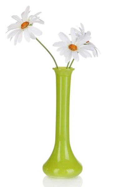 Beautiful daisies in colorful vase isolated on white — Stock Photo, Image