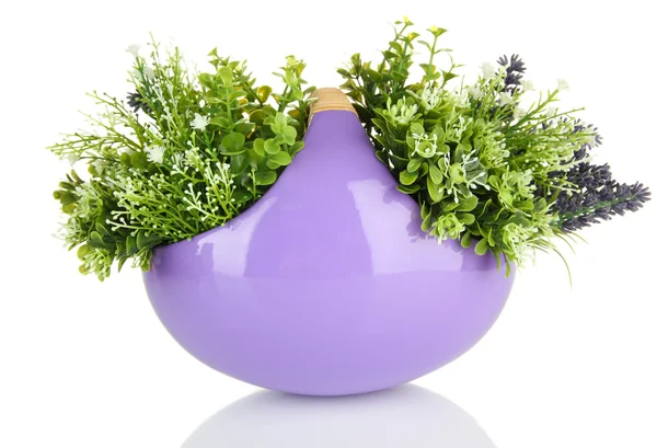 Pot with flowers isolated on white — Stock Photo, Image