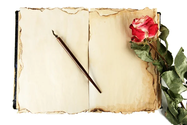Ouvert vieux livre, rose et stylo à encre isolé sur blanc — Photo