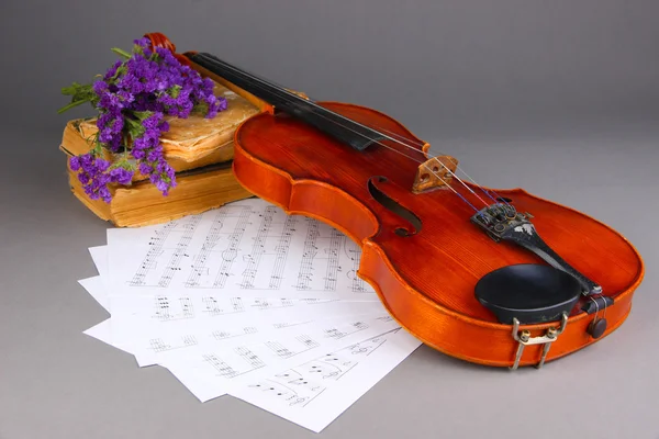 Violino classico sulle note — Foto Stock