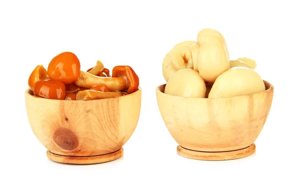 Mushrooms in wooden bowls, isolated on white — Stock Photo, Image