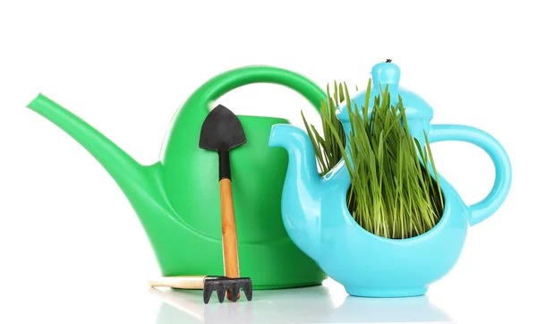 Grama verde em vaso decorativo isolado em branco — Fotografia de Stock